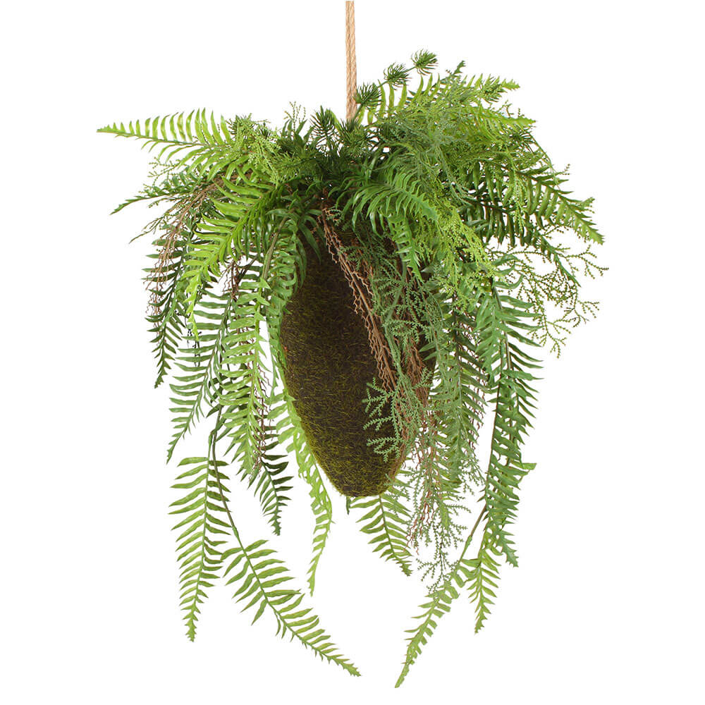 Moana kokedama mixte suspendu