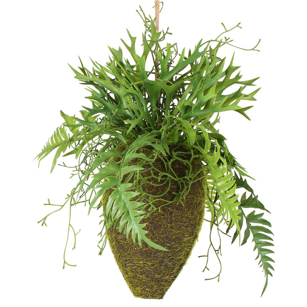 Mieszane wiszenie Moana Kokedama