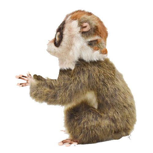 Realistic Slow Loris Plush Toy 17cm