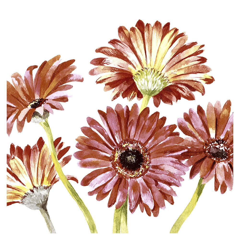 Paper+Design Gerbera Luncheon Napkins