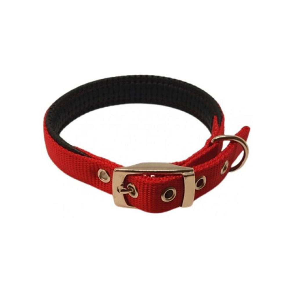 Collar acolchado de nylon (rojo)