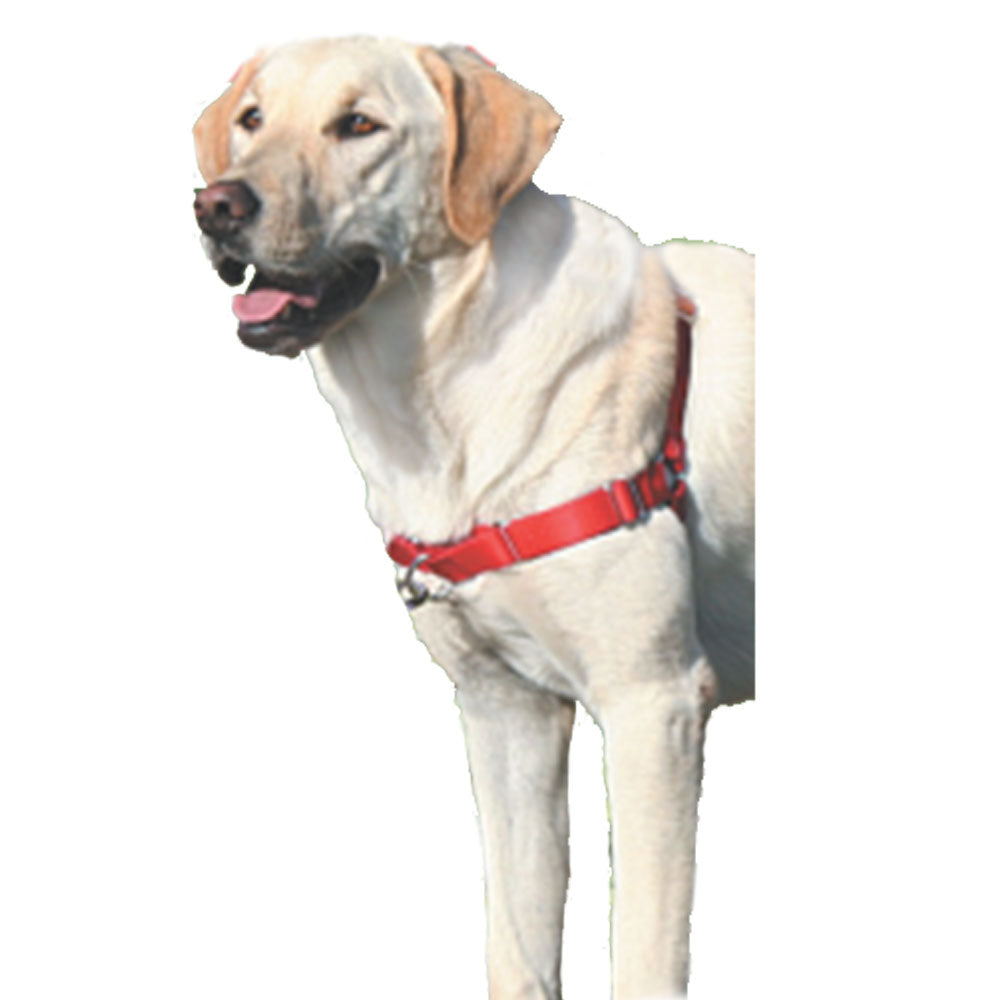 Gentle Lasder Easy Walk Dog Harness