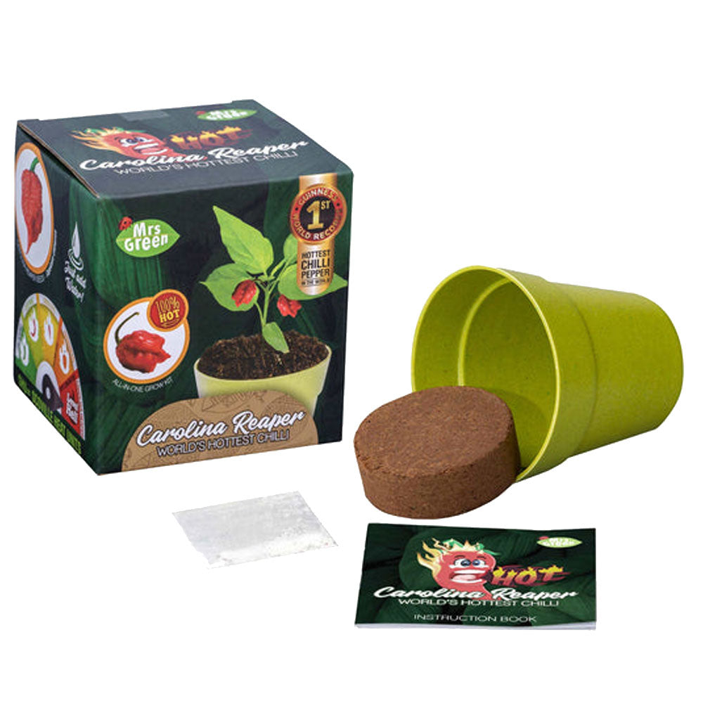 Kit de plante de jardin Mme Green Whimsy