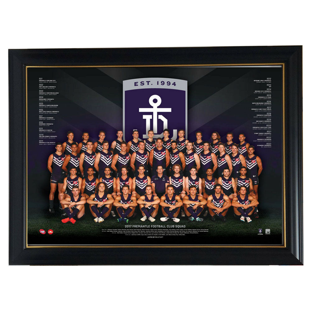 Póster del equipo AFL 2017