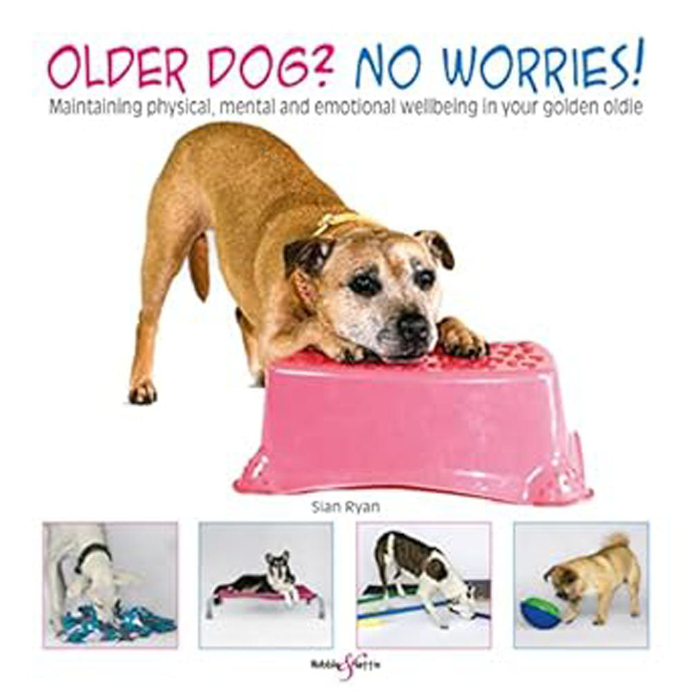 Older Dog No Worries Maintaining Well-Being in Your Oldie