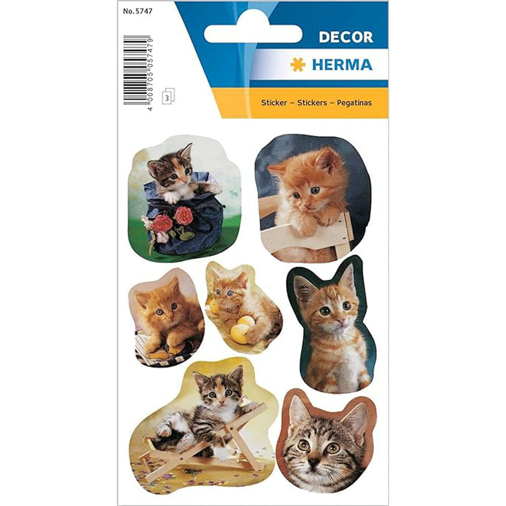 Herma Photographed Kittens Sticker Decor