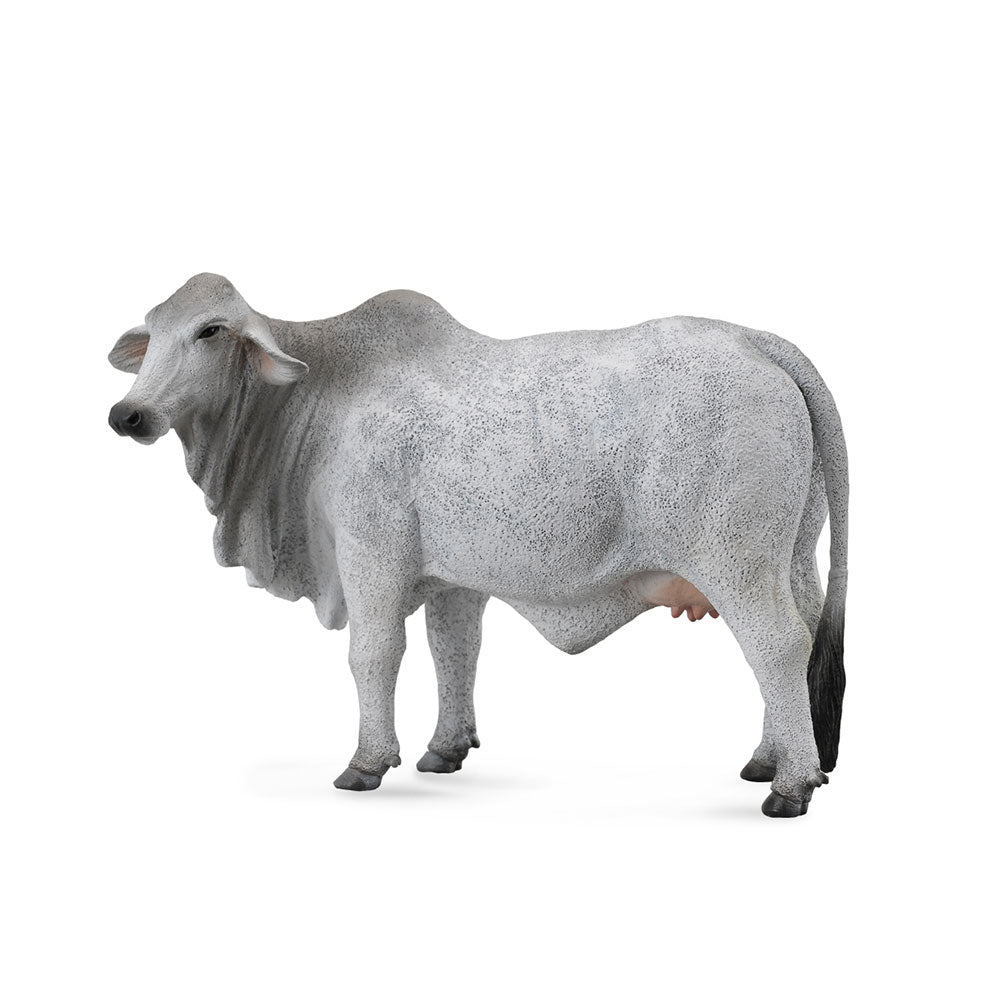 Figura de vaca Collecta Brahman (grande)