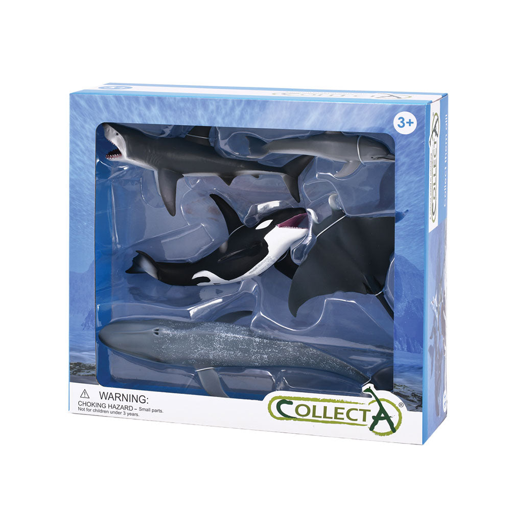  CollectA Sea Life Tierfiguren-Geschenkset