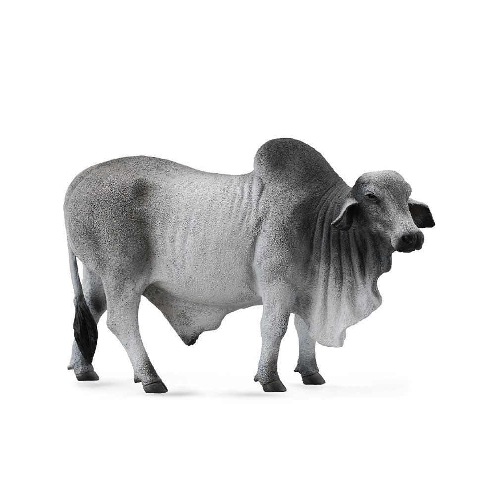 CollectA Brahman Bull Figure (Large)