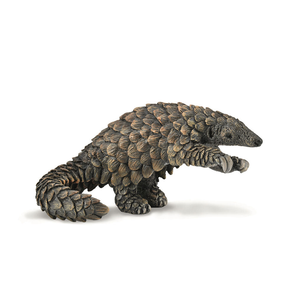 CollectA Pangolin Figure (Large)