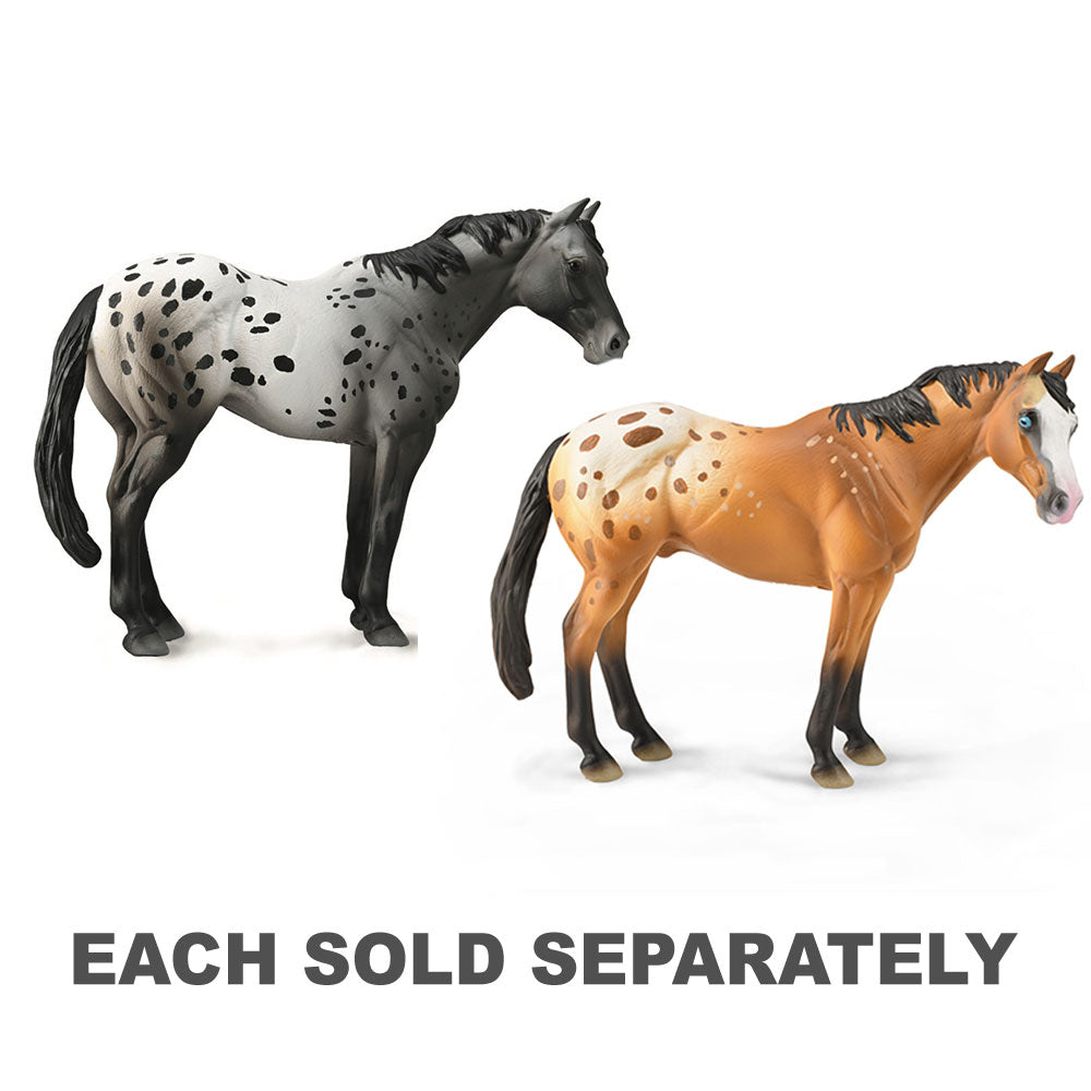 CollectA Appaloosa Stallion Figure (XL)