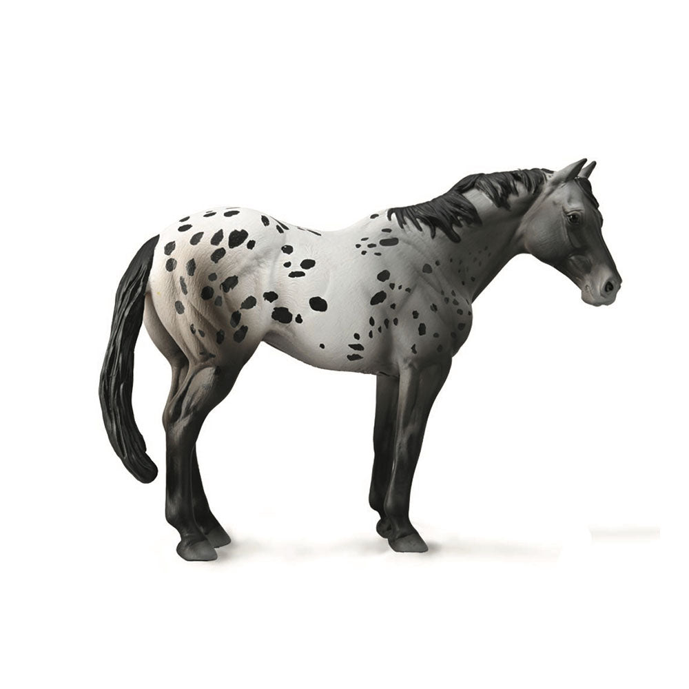 Collecta Appaloosa Stallion Figuur (XL)