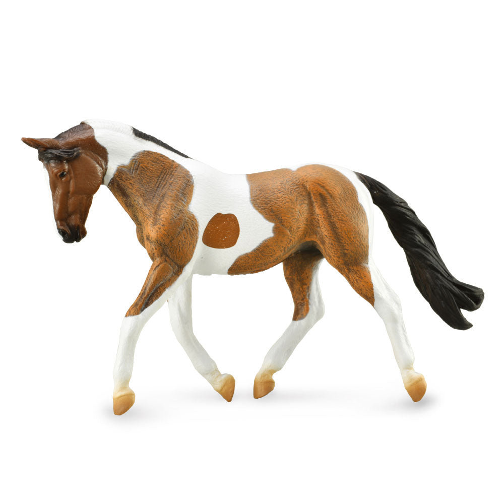 CollectA Pinto Mare Figur (extra groß)