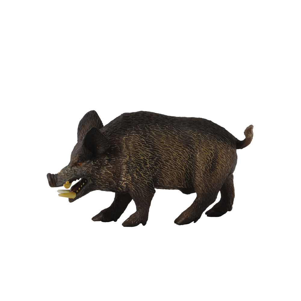 Collecta Wild Pig Figuur (medium)