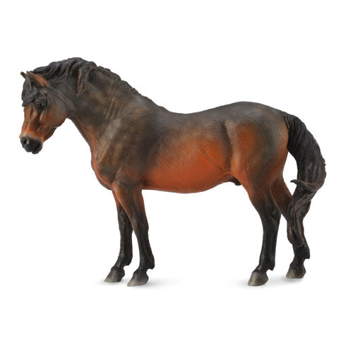 CollectA Dartmoor Horse Bay Figure (Large)