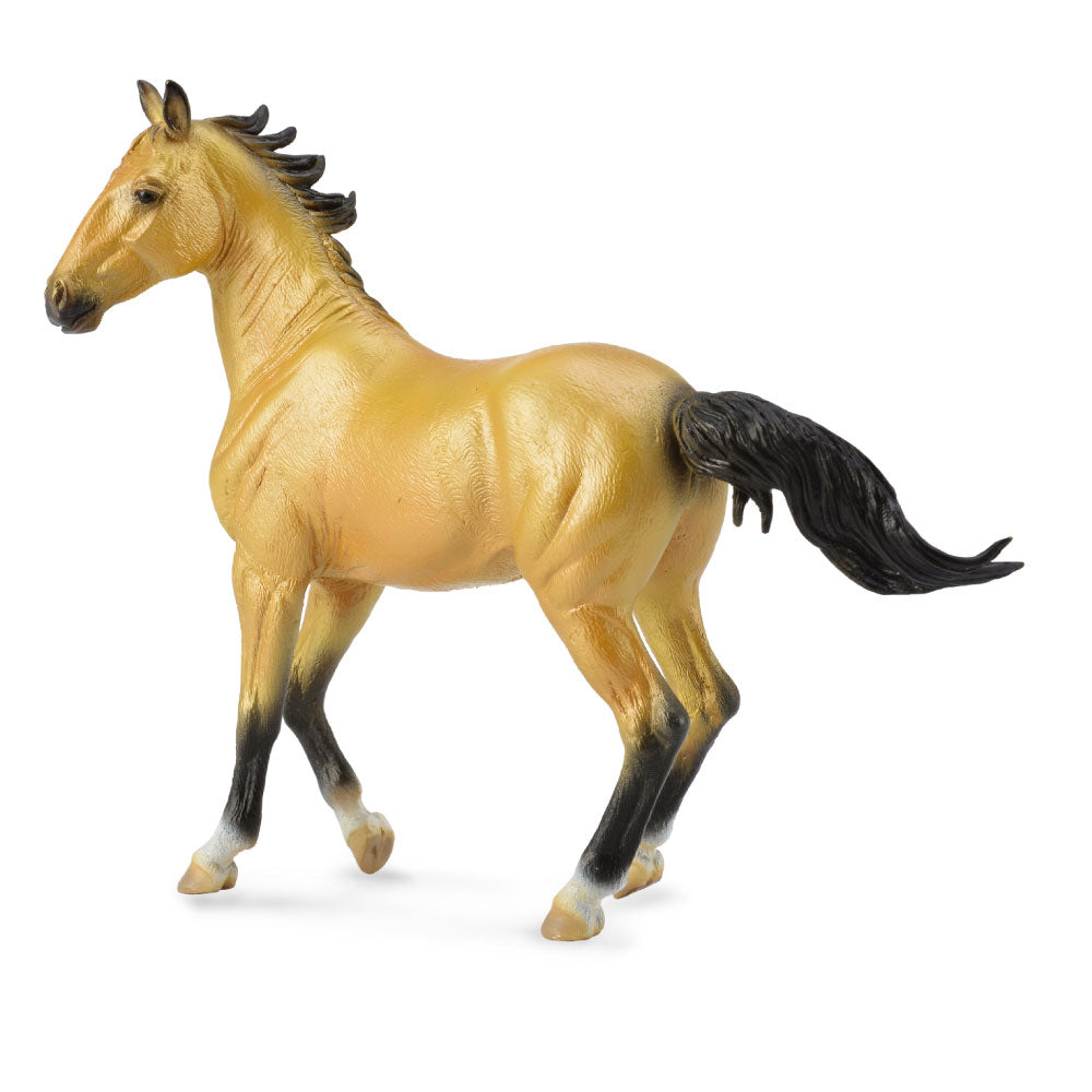 Collecta Akhal Teke sto (extra stor)