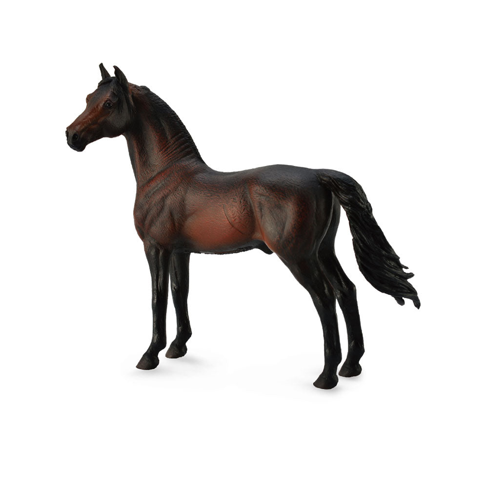 Collecta Morgan Stallion Figur (ekstra stort)