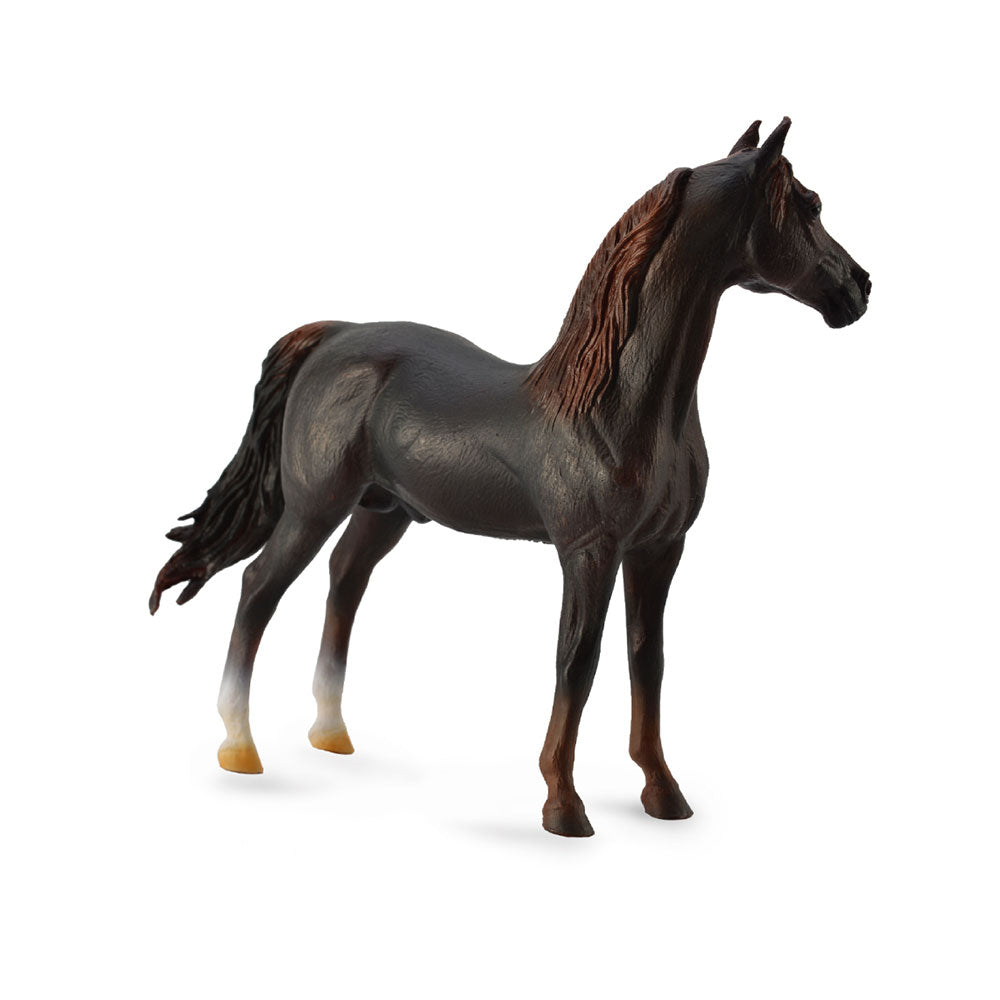 Collecta Morgan Stallion Figur (ekstra stort)