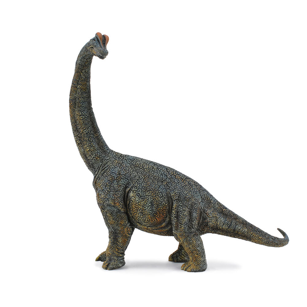 Figura de dinosaurio de coleccionista brachiosaurus