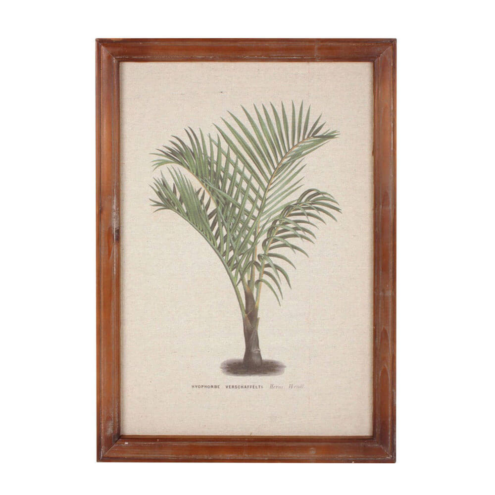 Ingelijste vintage palmwandkunst (38x52x1.8 cm)