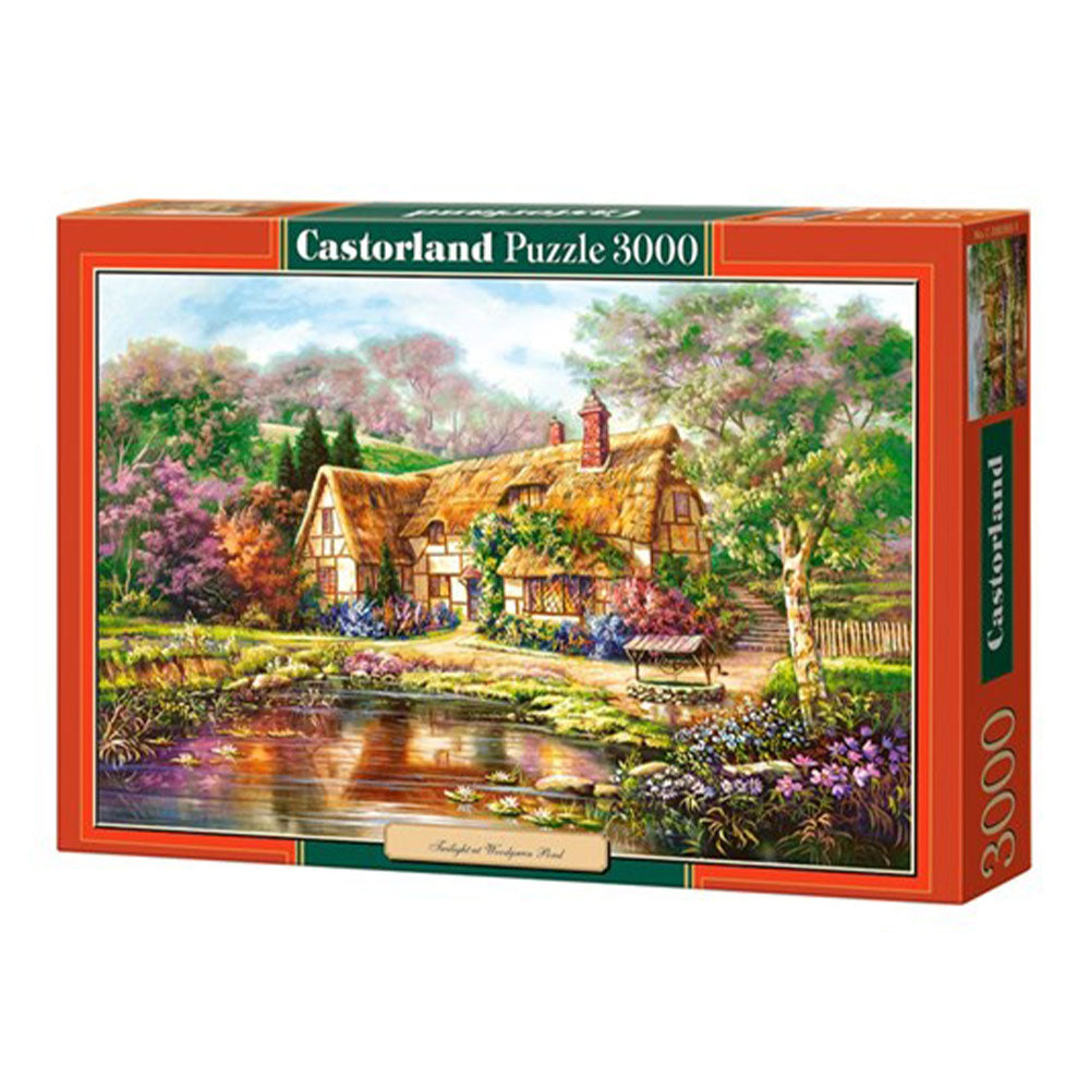 Rompecabezas clásico de Castorland 3000pcs