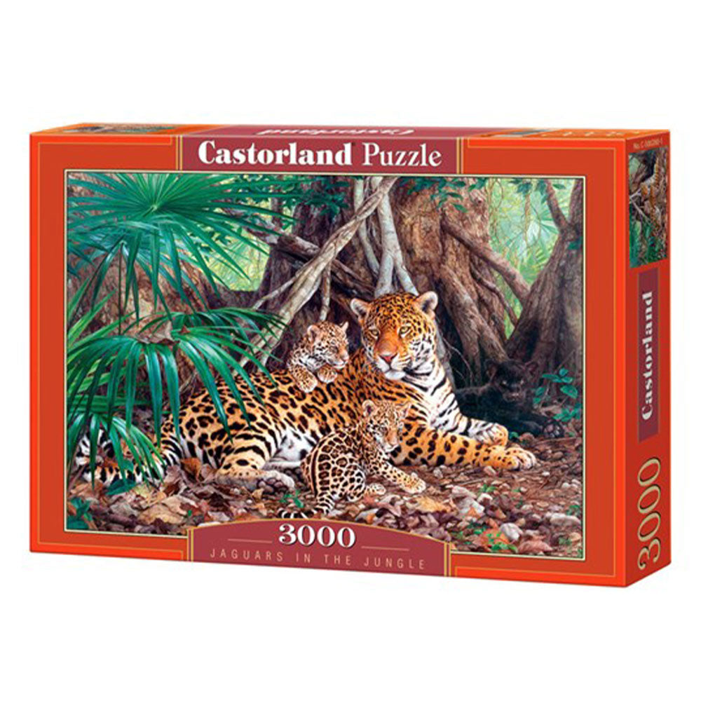 Rompecabezas clásico de Castorland 3000pcs