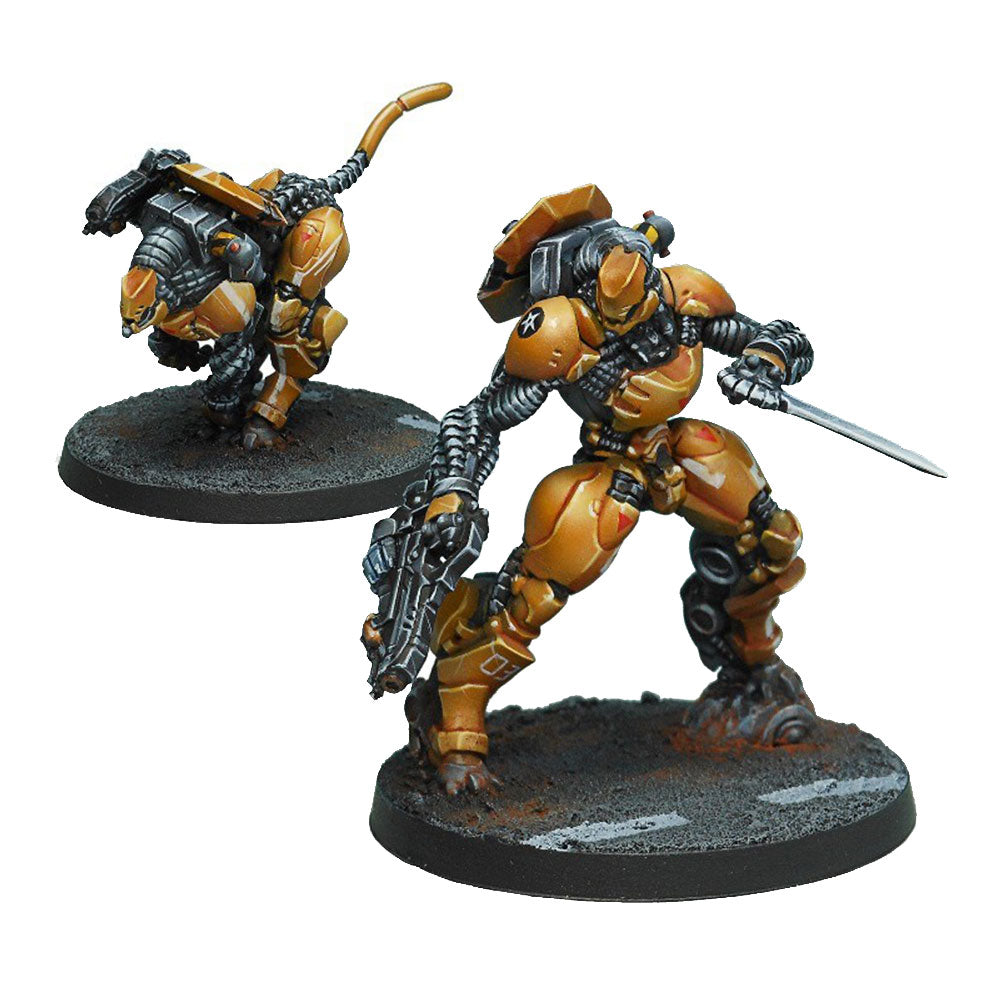 Infinity Yu Jing Miniatures Su Jian Immediate Action Unit