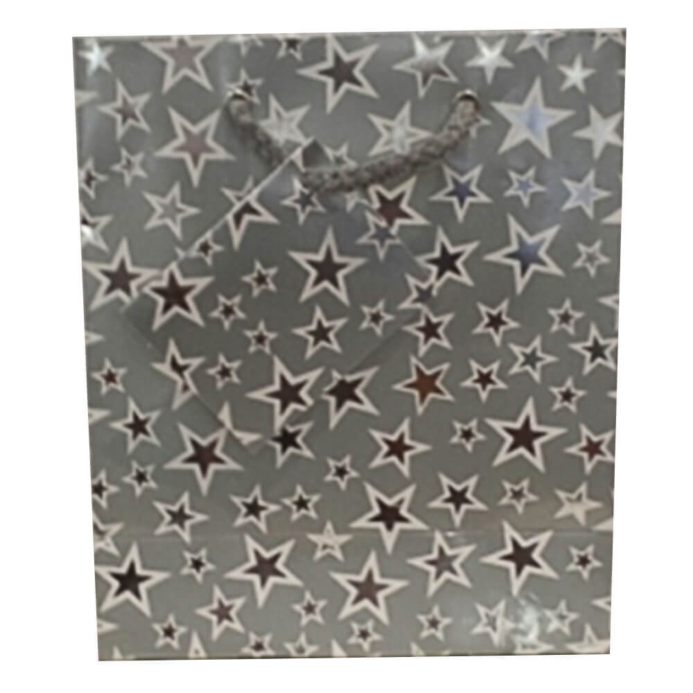 Borsa regalo OzCorp Stars (argento)